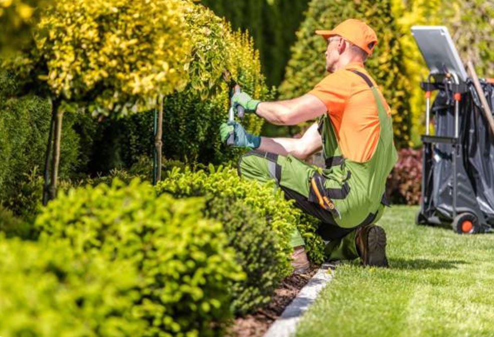 Landscaping Maintenance Service