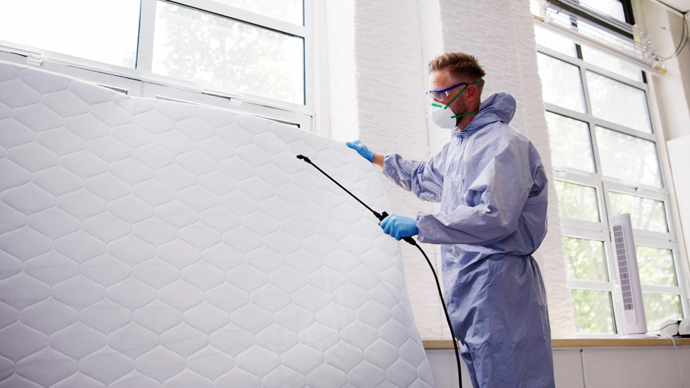 Bugs and scorpions control