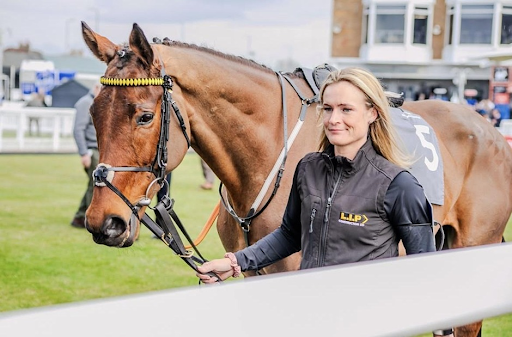 horse race in Chennai