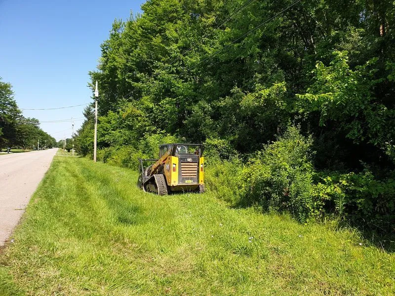 When Is the Right Time to Call Forestry Mulching Contractors for Maintenance?