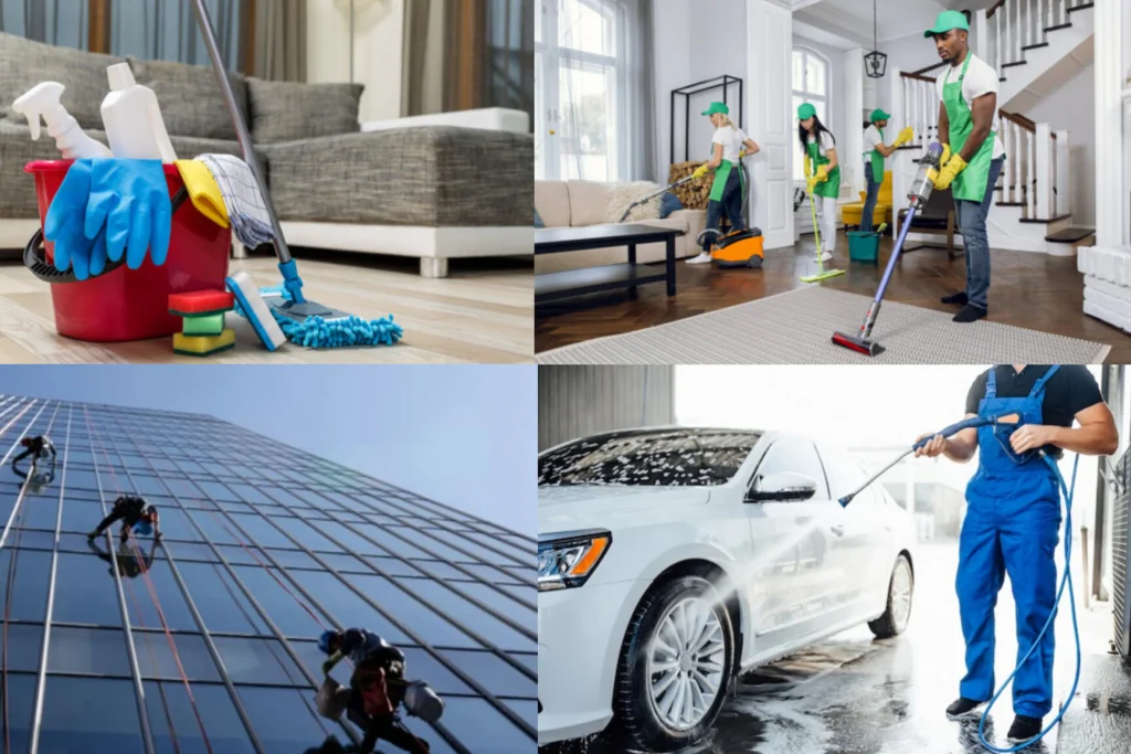 How to Choose the Best Home Cleaning Services in Mohali