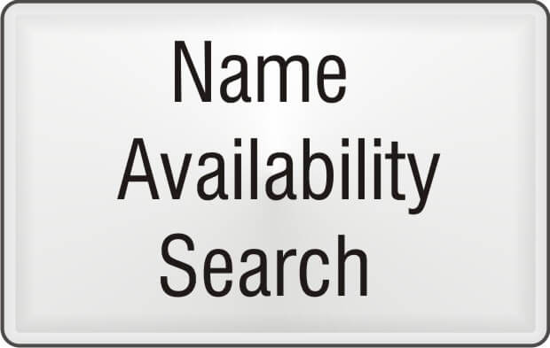 check business name availability
