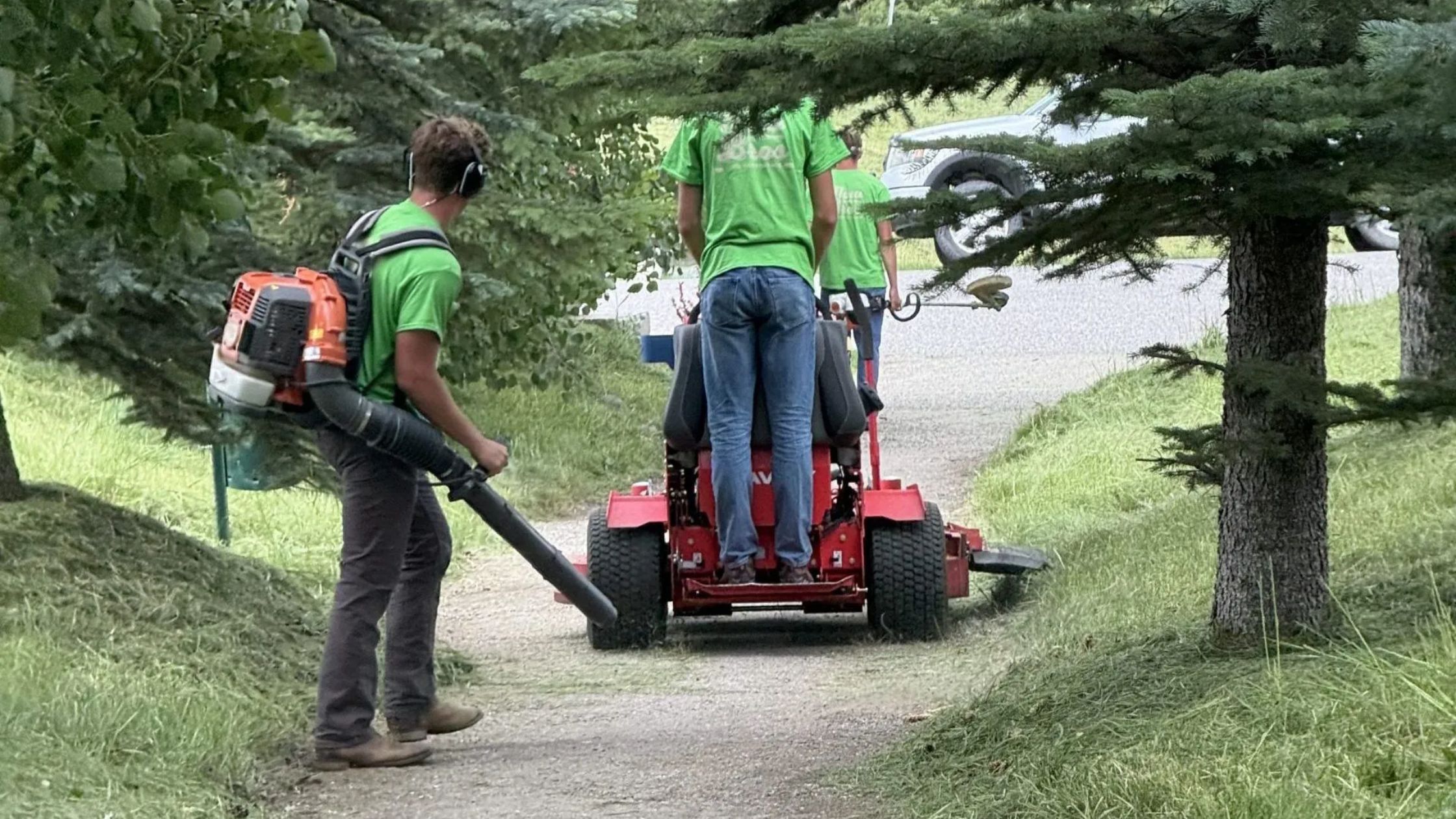 Local Lawn Care & Landscaping