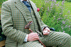 wood walking stick