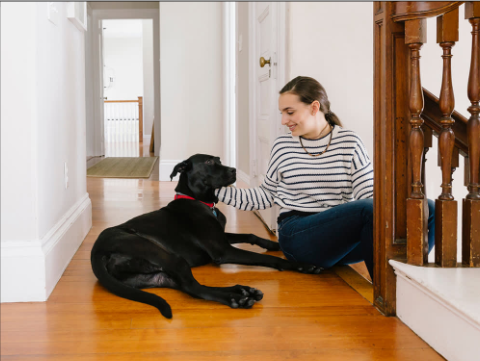 dog sitters New Orleans