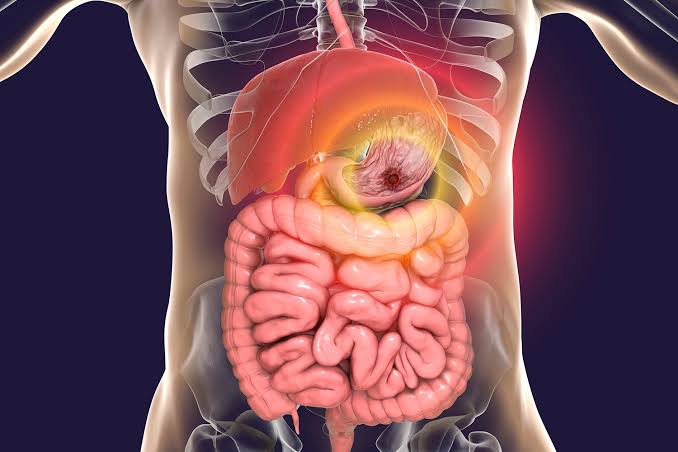 gastroenterology