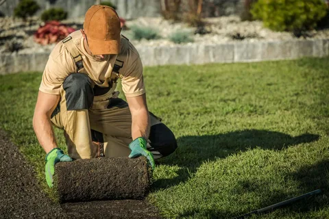 Landscape Maintenance